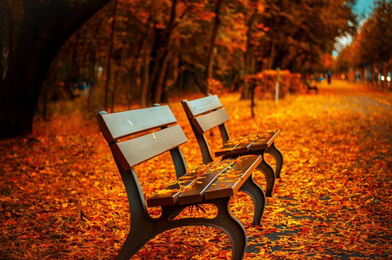 Fall Home Maintenance for Maryland Homeowners
